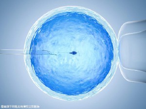供卵代怀生子代生生男孩生殖中心